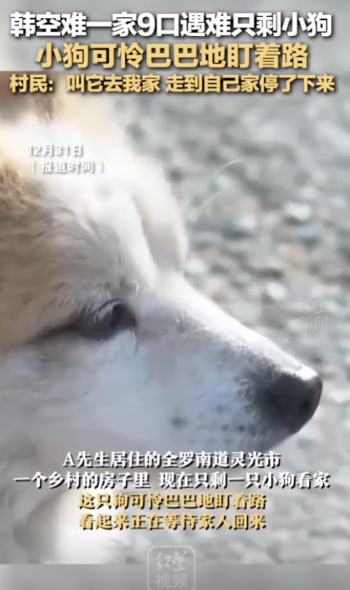 12月31日，韩国一家9口人去旅游，没想到回来的途中飞机出现事故，一家人无一幸免