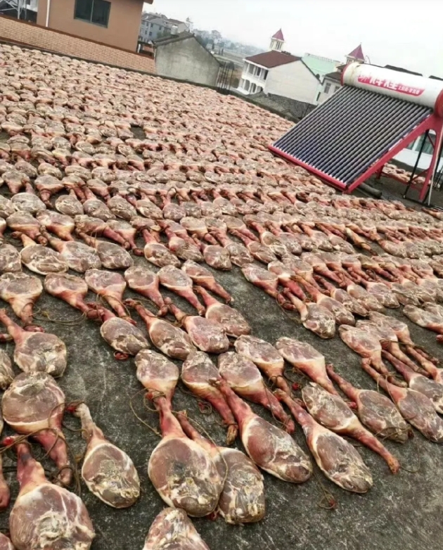 只有南方人懂得，屋顶上的上千头猪其实是一座金矿。