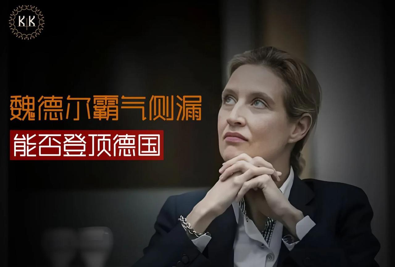 魏德尔有机会封顶德国吗？答案是：不可能！整个德国只有中下阶级支持她，她反对移民政