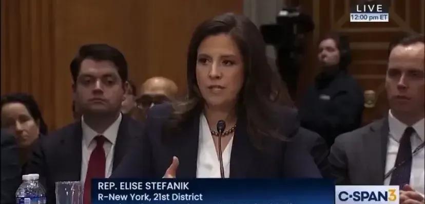 最近，特朗普提名的美国常驻联合国代表斯蒂芬尼克放话，要推动台湾参与联合国系统。别
