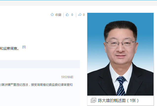 中纪委消息，陈大雄被查