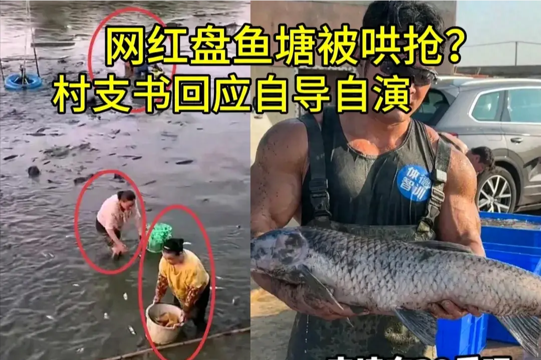 果然反转了！网上很火的李维刚说他承包的鱼塘被村民一抢而空，但村支书给出了另一种说