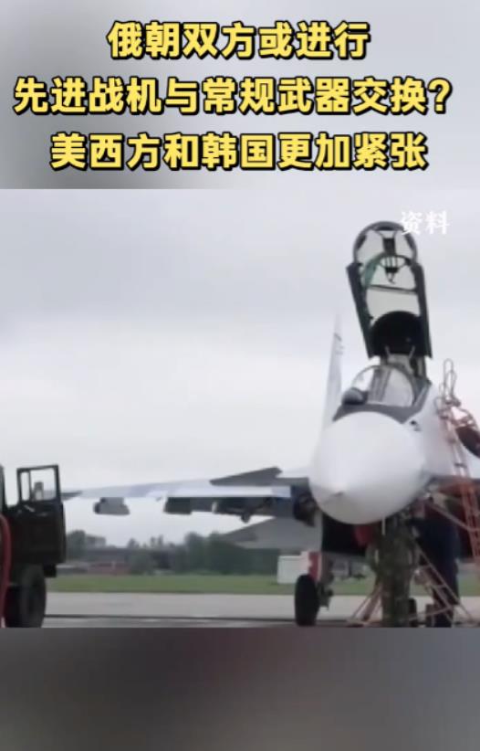 专家一句话，点开了韩国的担心。

朝鲜派兵去俄罗斯，不是出兵这么简单，背后可能涉