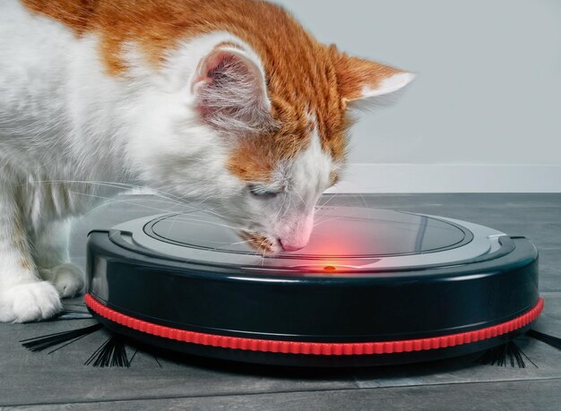 在养猫的日常生活中，清理猫毛和打理地面常常是一项艰巨的任务。作为铲屎官，面对那满