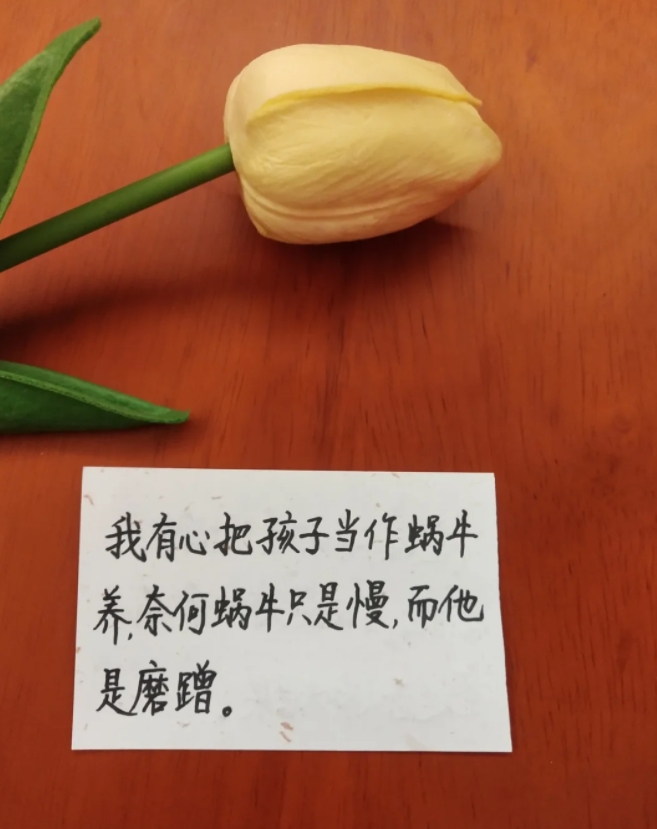 陪娃写作业文案，有一种崩溃叫陪娃写作业。

上一秒，如胶似漆，下一秒，叮咣就削。