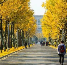 长沙烟厂，早些年对所有职工规定，出厂只允许口袋里有一包烟，其余全都算偷盗并开除。