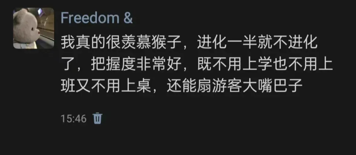 猴子进化把握的刚刚好，不用上学，不用上班又不用上桌，关键还能扇人的大嘴巴子