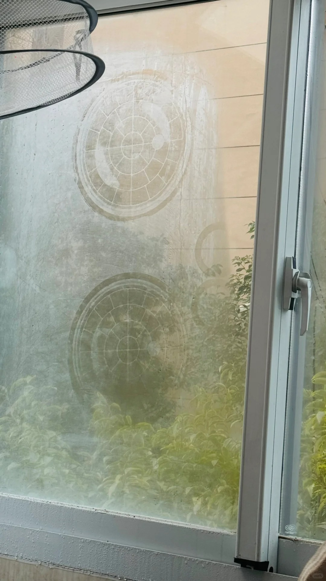 一觉醒来，窗户上有奇怪的图案
我妈说是外星人留下的，到底是什么情况，我家窗帘也不