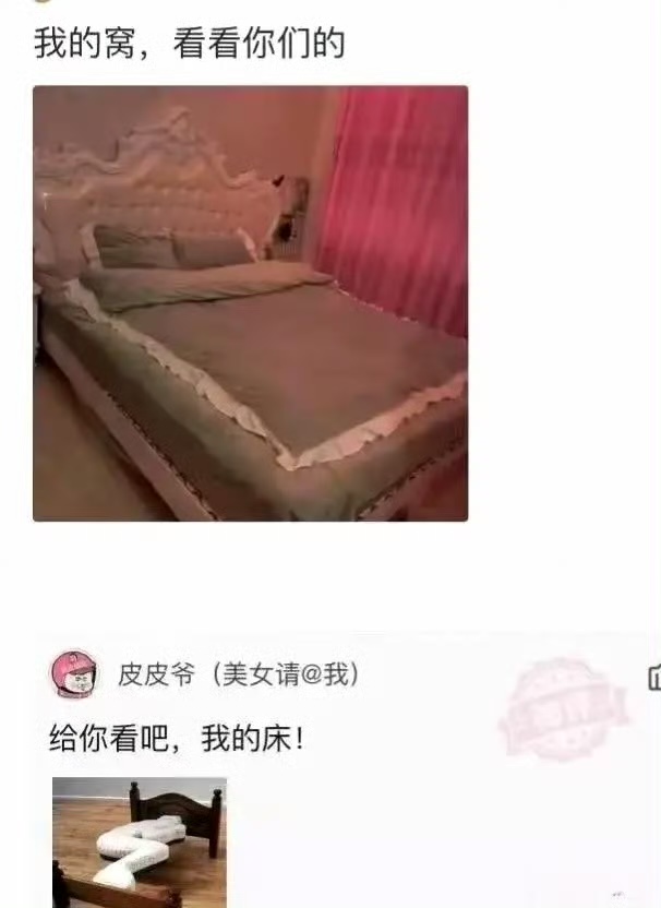 这窝一点都不浪费