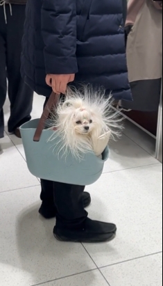 冬天的静电