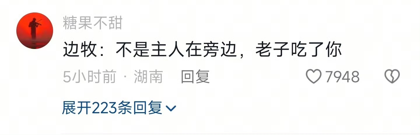 边牧:你学的很像，但是我就是不听!
