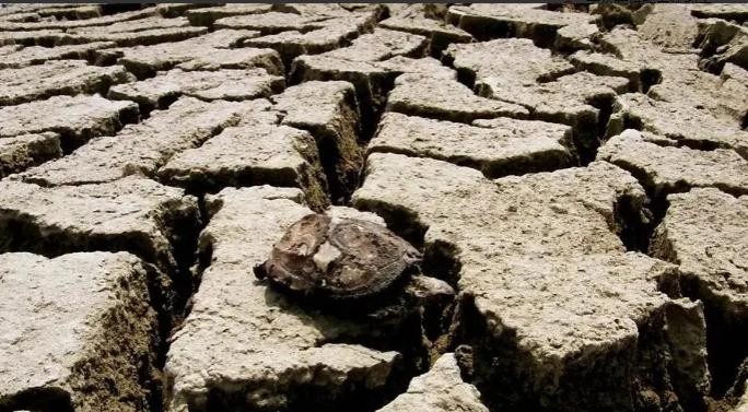 古代闹饥荒的时候，为何灾民宁可吃草根啃树皮，也不去河里抓鱼虾？

可以这么说，如