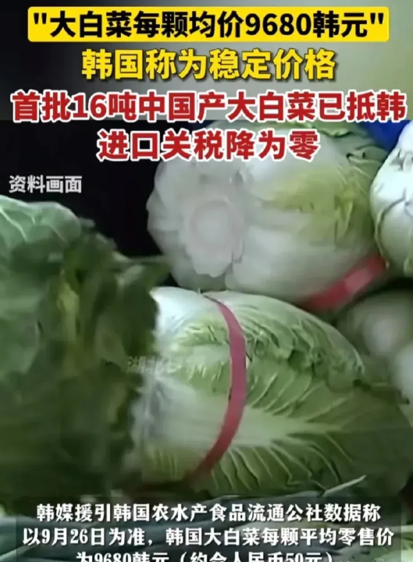 韩国决定对中国白菜实行零关税！

据韩媒报道，首批16吨中国产大白菜已抵韩，进口