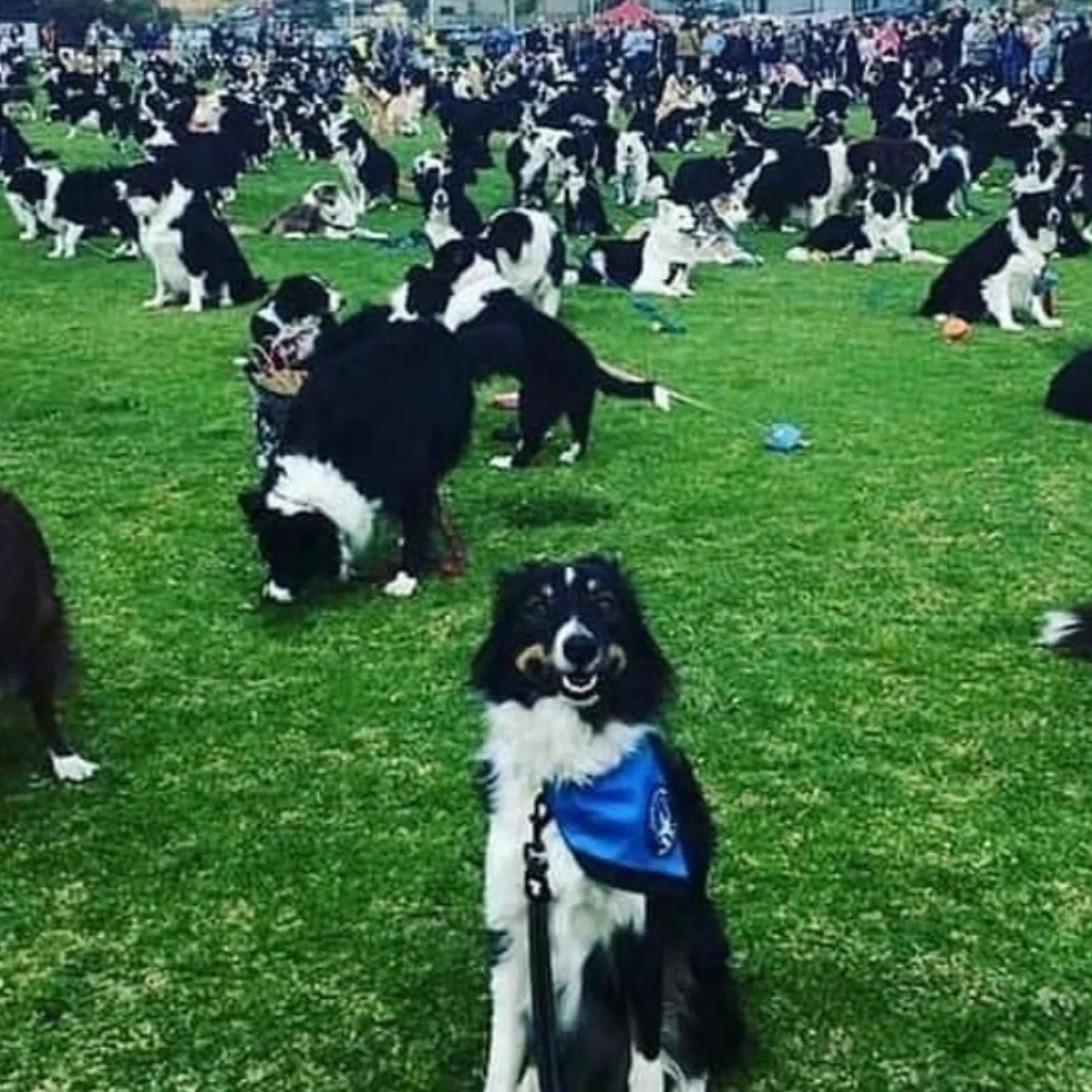 中华娘怎么跟我想的不一样呢？
裤子旗袍上衣都买了，但是为啥差点感觉啊，设子是武打