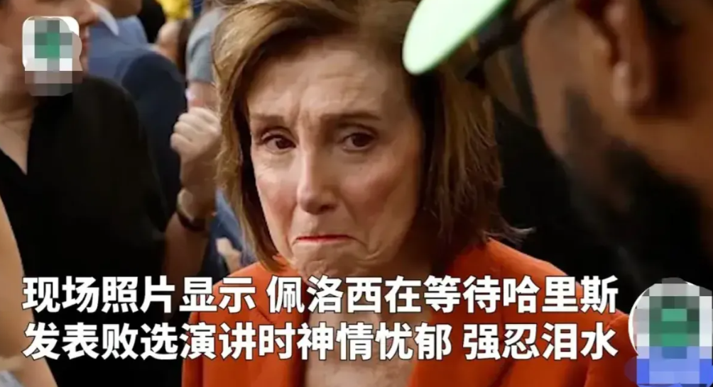 苍天饶过谁！一切都是因果轮回！佩洛西有多讨厌特朗普？得知哈里斯败选时，竟然表现得