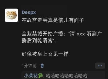 在故宫走丢真的倍儿有面子 ​