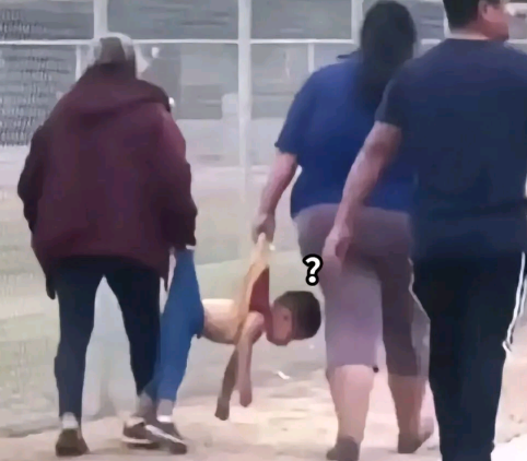 弱小可怜又无助..