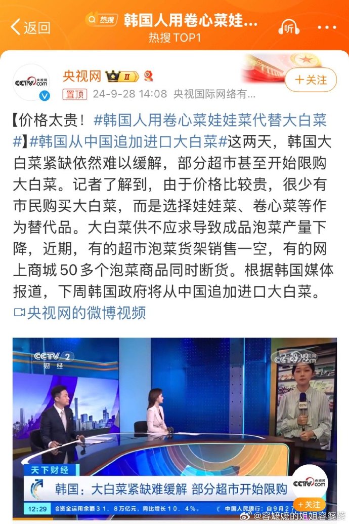 韩国人用卷心菜娃娃菜代替大白菜
