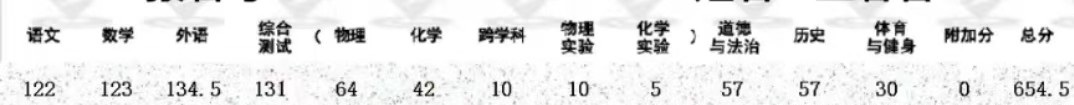表弟在今年在上海中考，这个分数能上高中吗

