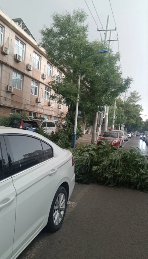 前天  昨天  今天气温连续达到41℃，能把人热熟了，高温红色预警。

不过这三