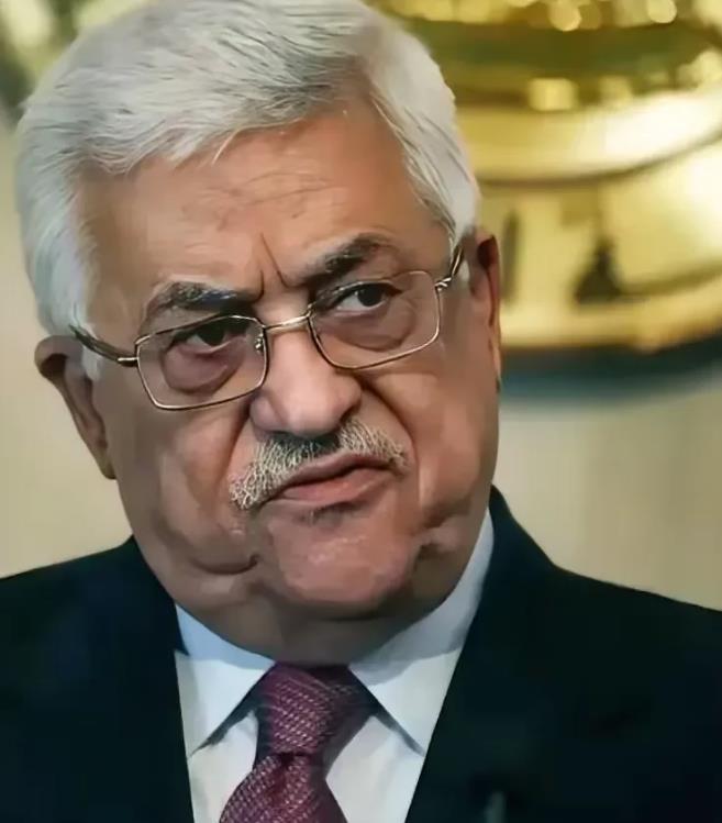 真相终于大白！原来，巴勒斯坦政府之所以选择和解，是因为明确解组才是其唯一代表，且