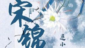 女主有一技之长的几篇文！真的巨好看！书荒的朋友请看过来！