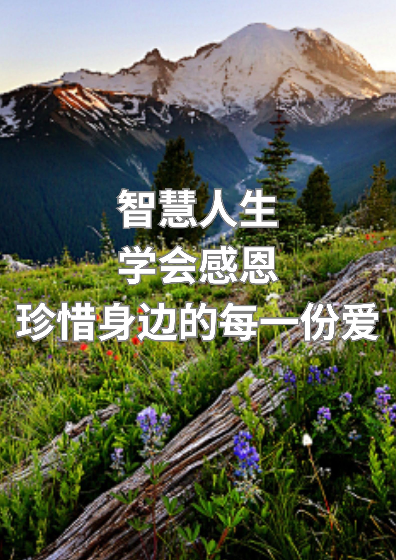 智慧人生，学会感恩，珍惜身边的每一份爱