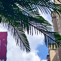 是小雨啊