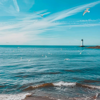 寂静夜晚的寻梦师