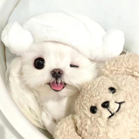 夜色笼罩的静谧