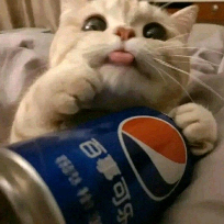 柠檬啊