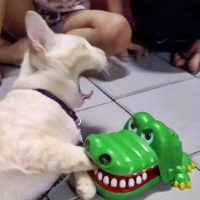 微风轻拂之流年