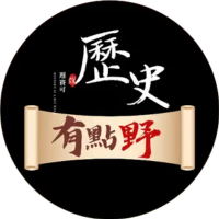 历史有点野