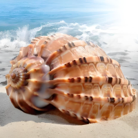 小螺号低低地吹