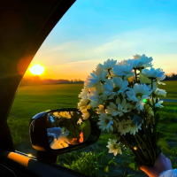 梦境深处的梦织者