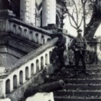 南疆烽烟正拾年