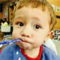 可爱萌兔蹦跶跶