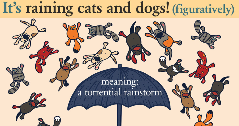 用英语表达“下雨”