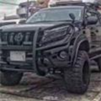 淡泊宁静品茶香