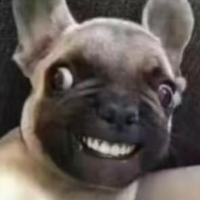 尔滨妹