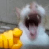 一往情深说娱乐