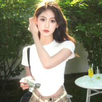 云隐鹤归处