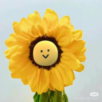 爆炒娱圈儿