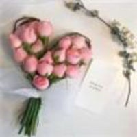 破晓曙光法无边