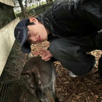 晨曦中的新希望