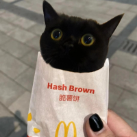 星河里的浪漫者