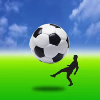 足球狂热爱好者