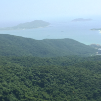 津生