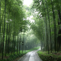 魏青聊娱乐