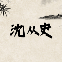 沈从史史